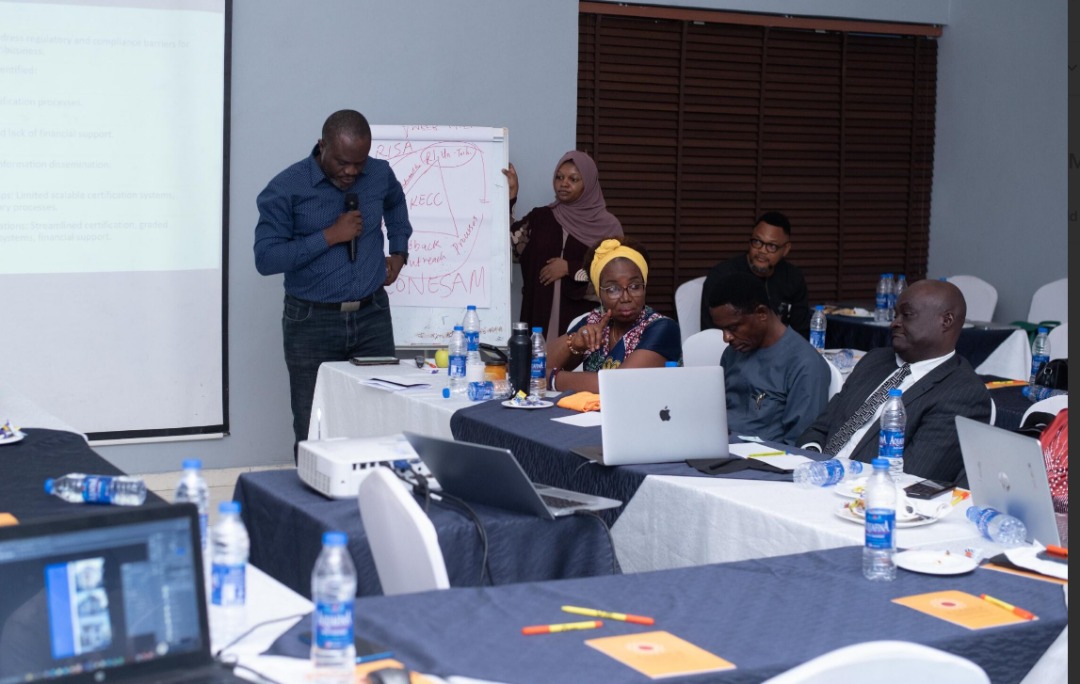 Elevation Consulting - Business Strategy